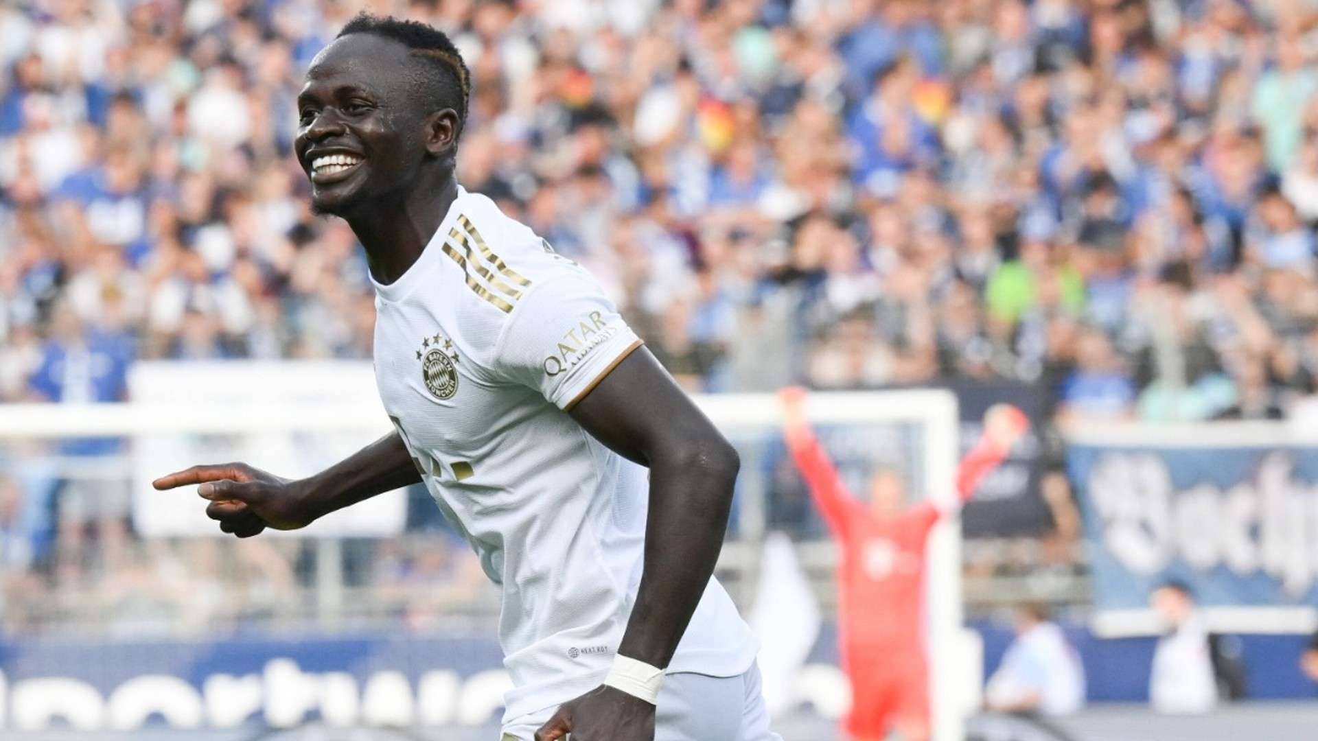 在职业体育 在职业体育