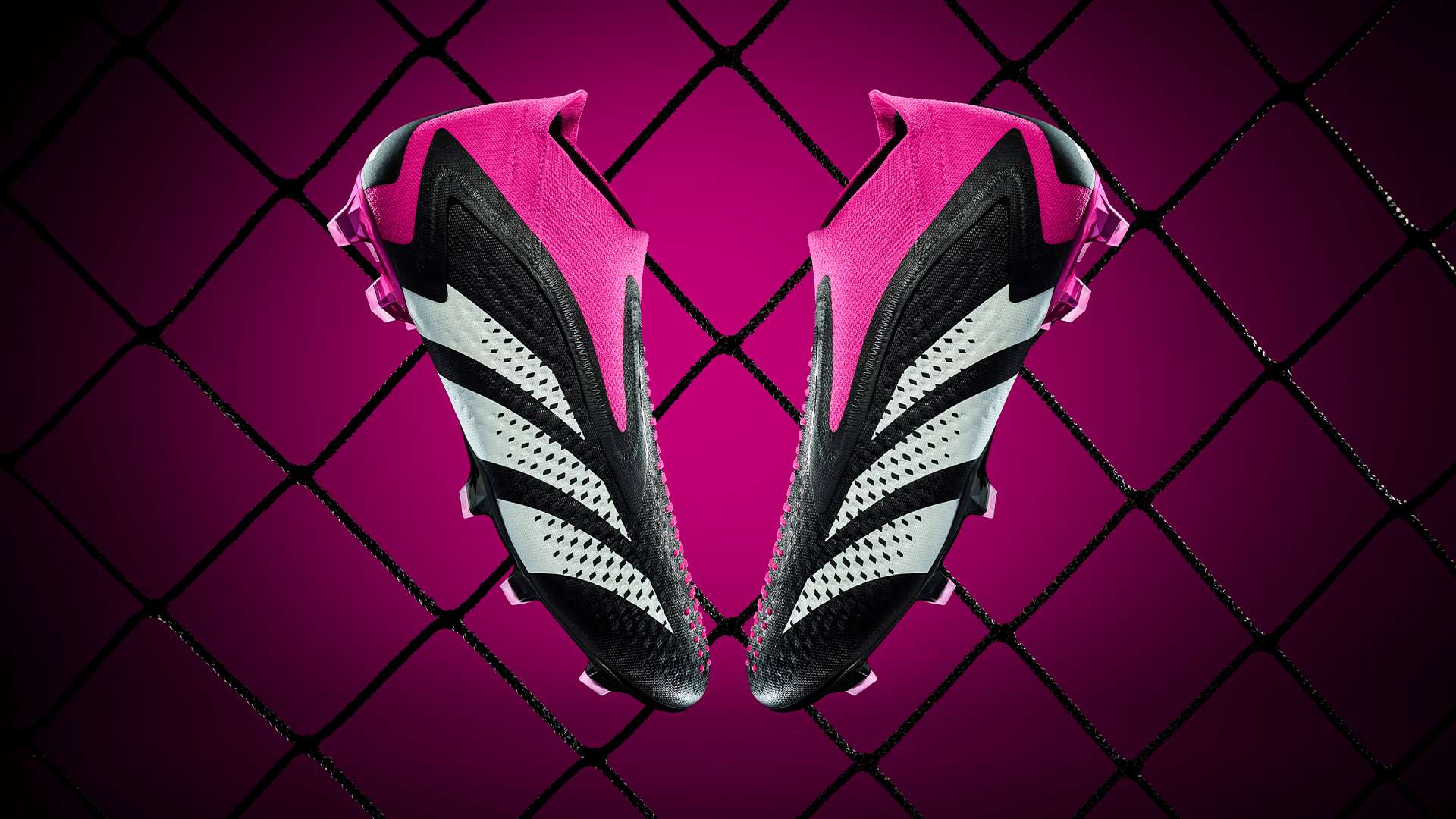 社交平台与 社交平台与