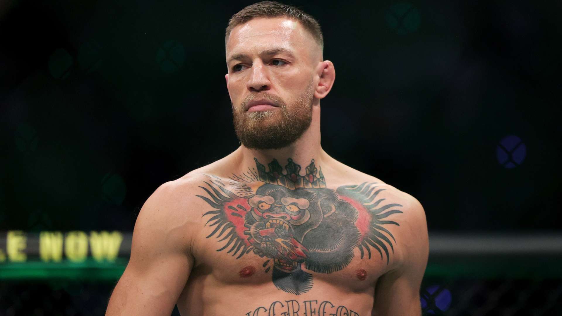 切尔西主教 切尔西主教